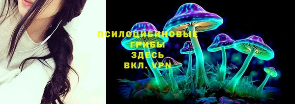 трава Бронницы