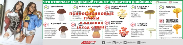 шишки Бугульма
