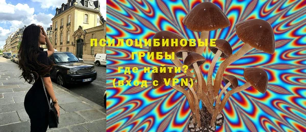 трава Бронницы