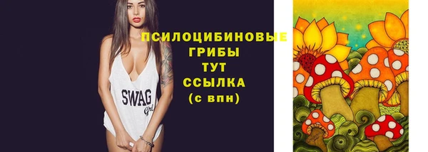 шишки Бугульма