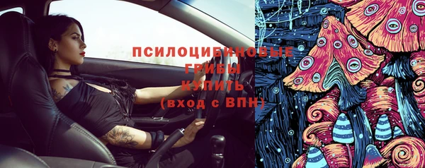 шишки Бугульма