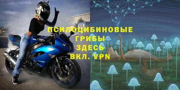 шишки Бугульма