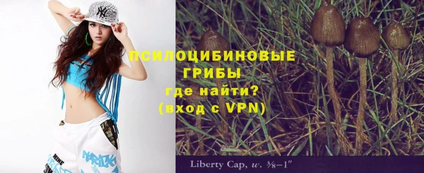 трава Бронницы